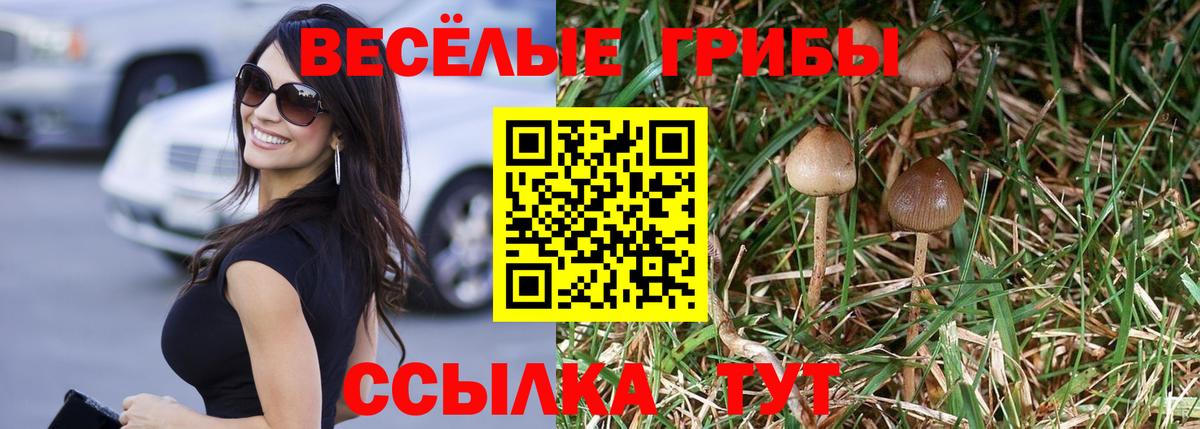 Галлюциногенные грибы MAGIC MUSHROOMS  купить   Печора  Вход с VPN 