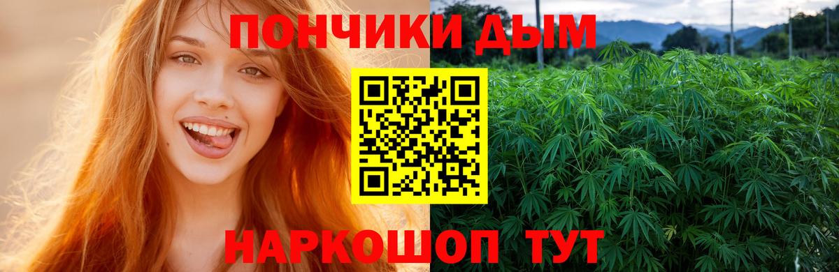 Бошки марихуана MAZAR  Вход с VPN  МАРИХУАНА семена  Марихуана марихуана  Печора 